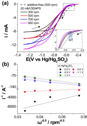 Fig. 6. (a) CVs (scan rate: 50 mV/s) for the electrochemical reduction of Cu 2+  on a Cu rotating disk electrode in electrolytes containing 20 mM of DDAPS at the various rotation rates, and (b) the corresponding Koutecký–