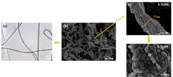 Fig. 1. (a) Optical microscope image of the precursor and (b)-(d) SEM images of the NCA nano-bush structure cathode materials.