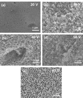 Fig. 3. Current density transient during anodization of Al alloy with various applied voltage