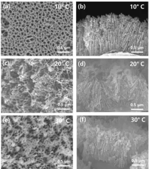Fig. 6. Top and cross-sectional FE-SEM images of anodized Al alloy with various anodization temperatures.
