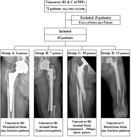 Figure 1. Patient profiles and the groups included in the study. 