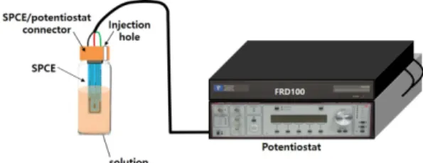 Fig. 1. Experimental scheme of CA, CV, EIS in batch system.