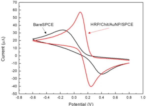 Fig. 3. Cyclic voltammetry graphs of AuNP/SPCE, Chit/