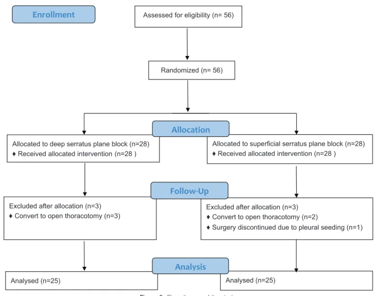 Figure 2. Flow diagram of the study.