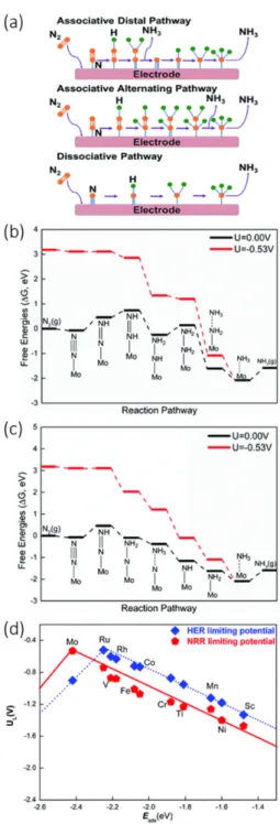 Fig 2. (a) Possible pathways for the NRR to form ammonia (NH 3 )(Ref.20) (b-c) Free-energy diagrams for the NRR on the single Mo atom embedded into the MoS 2 nanosheet at zero and applied potential (limiting or onset potential) through (b) distal and (c) a