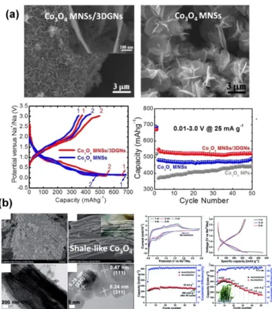 Fig. 7. (a)  다공성 CuO nanorod arrays (CNAs) 의 구성도 (b) CNAs 의 사이클 특성과 충방전 효율.