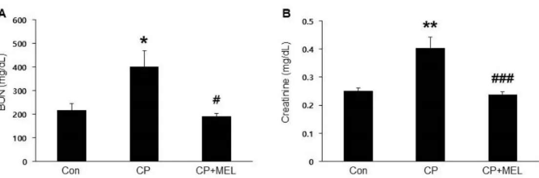 Figure 1. Effect of melatonin on renal function in cisplatin-treated mice.