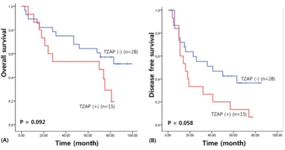 Figure 2. Survival analysis of TZAP expression in HCCs. (A) Overall survival (B) Disease free survival.