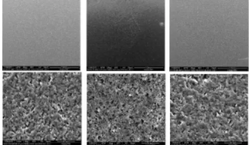 Fig. 3 Developed high efficiency ozone  contactor and  the characteristics of  ozonated water