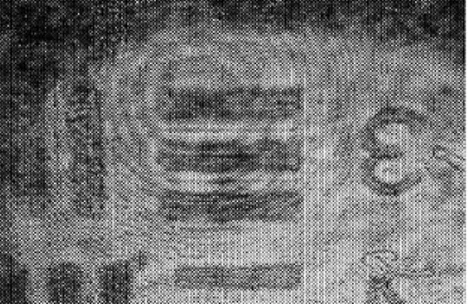 Fig. 5 Line profile of hologram image