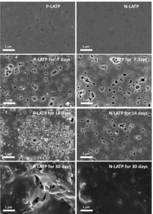 Fig. 5. SEM images of the P-LTAP and N-LTAP immersed in alkaline solution for various times.