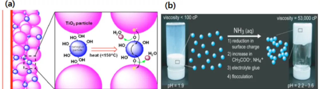 Fig. 5. The composition of binder free for TiO 2  paste (a) the chemical bonds of TiO 2  nano particle via nanoglue [Reprinted with permission from ref