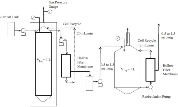 그림 1. Integrated bioprocess: Schematic of two-stage lipid production process using microbial conversion