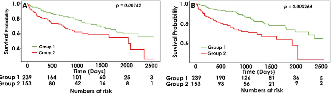Figure 2. Kaplan–Meier analysis for (A) major adverse cardiovascular event (MACE); (B) all-cause  mortality according to the total carotid plaque number (TPN)
