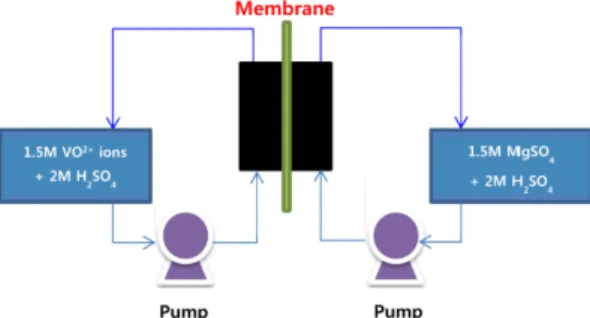 Fig. 1. Schematic of Vanadium ions permeation test.