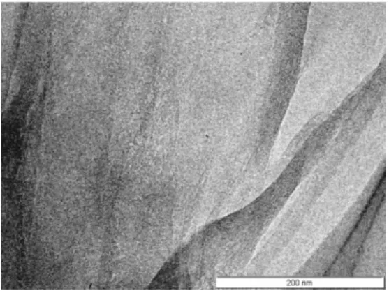 Fig. 2. TEM image of graphene oxide.