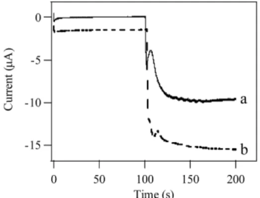 Fig. 6. Dynamic response towards 2.84 mM ascorbic acid of (a) control and (b) fluorine-modified PbO 2 /carbon paste electrodes (applied potential = +1.2 V vs