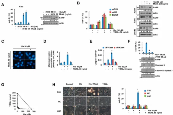 Figure 1. Hispidulin increases the sensitivity of renal carcinoma Caki cells to TRAIL