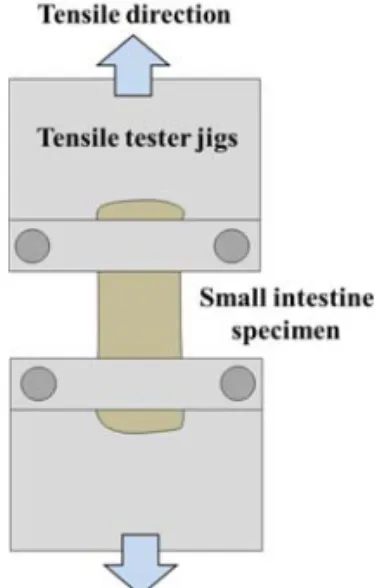Fig. 1 Schematic design of the tensile tester 