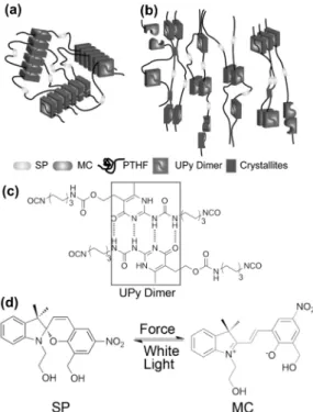 Figure 12.  (a) Spiropyrane과 4중수소결합 분자가 함께 도 입된 폴리우레탄의 구조 모식도. (b) 초기 상태에서 응력을 주어 신장시켜 주면 수소결합의 분리로 파단이 일어남과  동시에 spiropyrane (SP)의 고리가 개환되어 merocyanine  (MC)을 형성함
