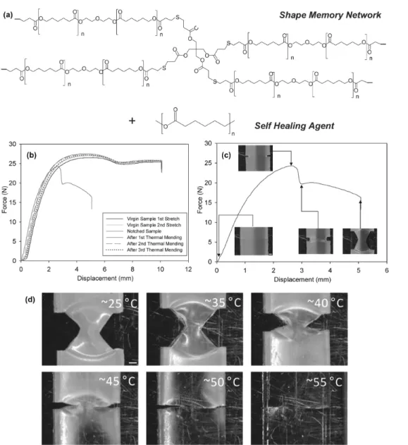 Figure 4. (a)  형상 기억 네트워크 역할을 하는 가교형 PCL과 자가치유 매체 역할을 하는 선형 PCL  분자 모식도, (b) 선형  PCL : 가교형 PCL (50 : 50 wt%)의 초기 시료,  노치(notched)  시료,  치유된 시료의 force versus displacement 그래프, (c) 선형 PCL : 가교형 PCL (50 : 50 wt%) 노치 시험편의 Linkam tensile stage에서 변형에 따른 입체 현미경 사