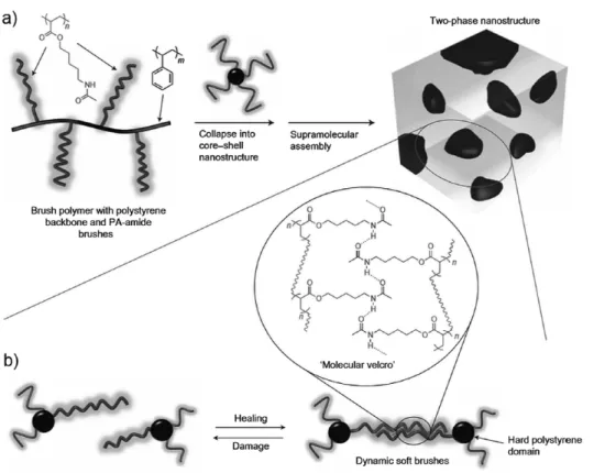 Figure 8. (a)  수소결합형 polystyrene-g-polyacrylate amide의 화학구조 모식도. (b) 연질상(soft phase) 내의 amide  작용기에  기인한 가역적 수소결합 개념도.