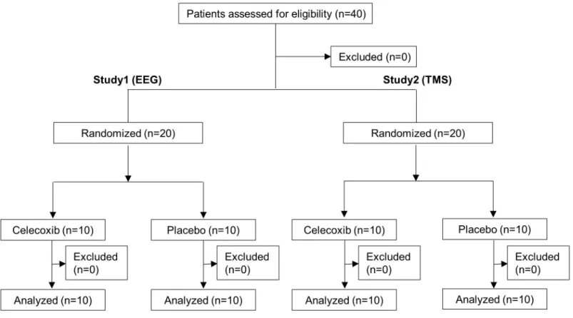 Fig 1. Study flow diagram. Abbreviations: EEG = electroencephalography, TMS = transmagnetic stimulation.