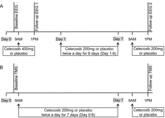 Fig 2. Schematic illustration of the study design. (A) Study 1 for electroencephalography