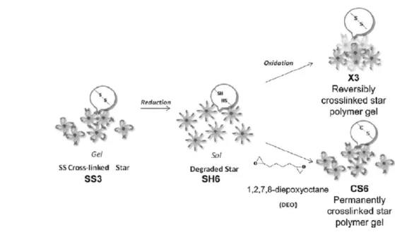 Figure 15.  Disulfide 작용기를 이용한 antifouling과 향균 효 과를 가지는 자가치유 시스템의 모식도 및 사용된 물질들.