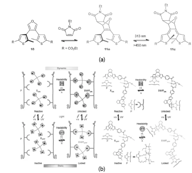 Figure 6. 빛에 의해 가역적으로 고리를 형성하고 끊어내면서 Diels-Alder  반응의 가능 여부를 결정하는 메커니즘(a)과 치유 능력의 on/off를 조절하는 고분자 네트워크를 이용한 자가치유 시스템의 모식도(b).