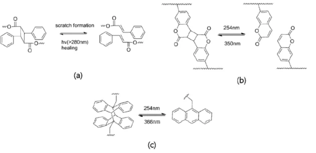Figure 10. Cinnamate작용기의 가역반응(a), coumarin 작용기의 가역반응(b),  그리고 anthrancene의 가역반응(c)의 메커니즘.