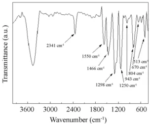 Fig. 7. FE-SEM and FE-TEM images of PANI/PTND composite.