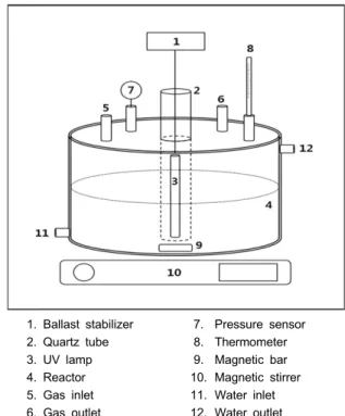 Figure 1. Schematic diagram of experimental apparatus for UV/ 