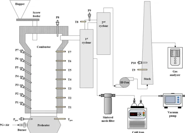 Figure 2. Schematic diagram of bubbling fluidized bed reactor system.