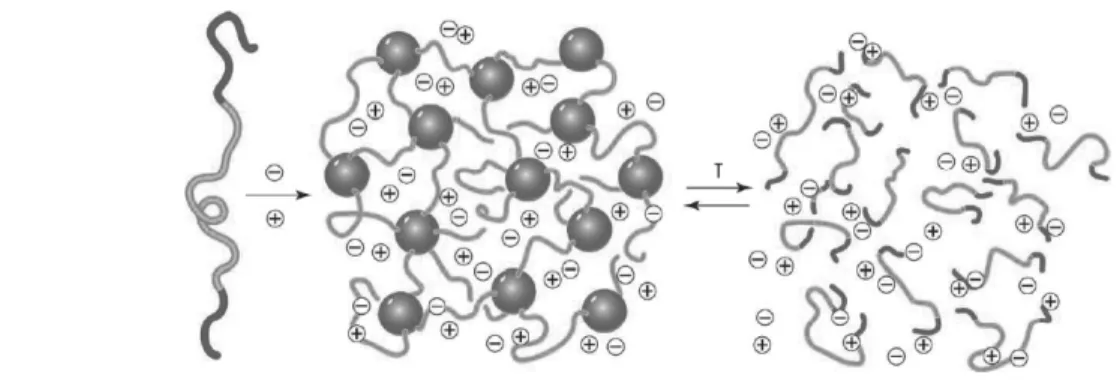 Figure 2. ABA  삼중 블록공중합체 및 이온성 액체의 자기조립을 통해 물리적 가교를 이루는 이온젤 모식도[2].