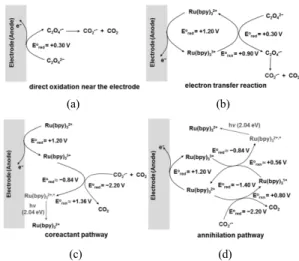 Figure 7.  포토리소그래피를 활용하여 패터닝한 플렉서블  전기화학 발광소자의 사진[8].