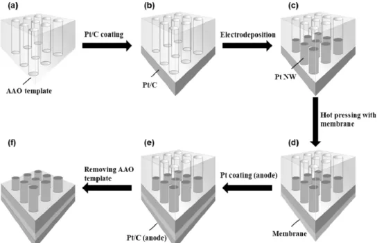 Fig. 1. Schematic illustration of the fabrication of MEA with AAO template.