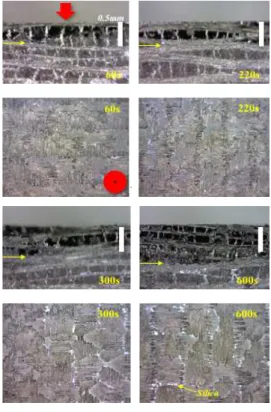 Fig. 1 Cross sectional observation after torch test of C/SiC composites