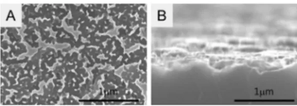 Fig. 2 shows SEM micrographs of the textured Si, which was fabricated by metal-catalyzed electroless etching (MCEE) of bulk crystalline p-type (100)-Si (10 W-cm; B-doped) in 8 mM AgNO 3  and 4.6 M HF for 6 min