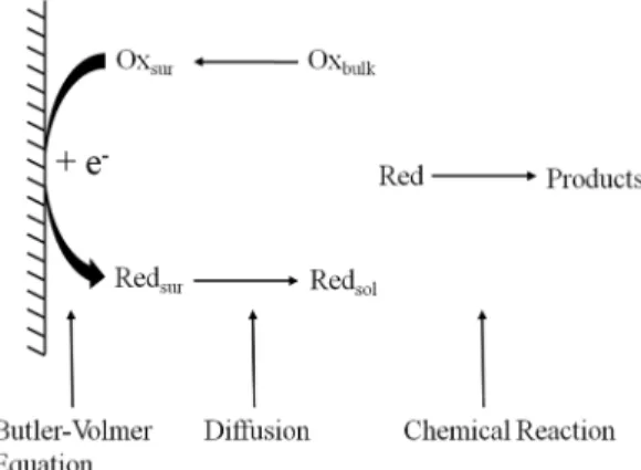 Fig. 1. Schematics of electrochemical transport modelling near the electrode.