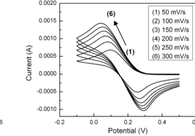 Fig. 2. Cyclic voltammetry of K 3 Fe(CN) 6  on ITO glass substrate.