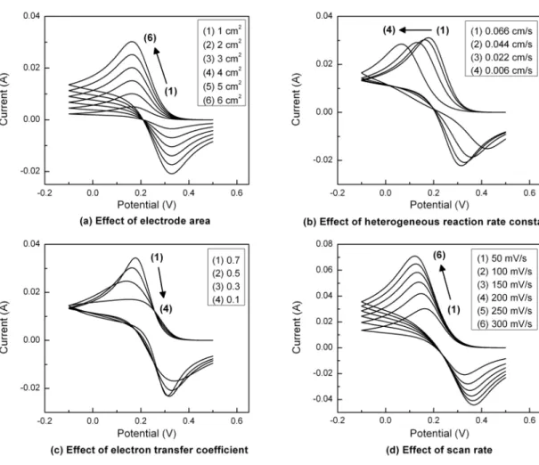 Fig. 3. Simulation of cyclic voltammetry for semi-infinite diffusion model.
