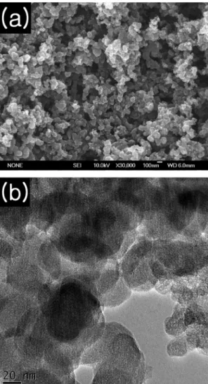 Fig. 2. (a) SEM and (b) TEM images of Fe-TMPP/C. Fig. 3. XPS spectra of (a) C 1 s and (b) N 1 s of Fe-TMPP/C.