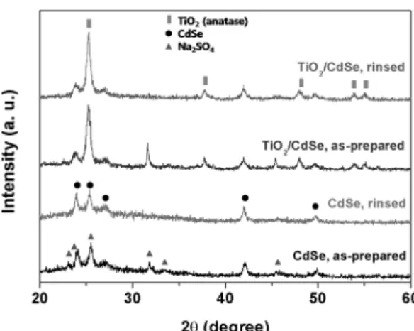 Fig. 2. XRD patterns of as-prepared CdSe, rinsed CdSe with water, as-prepared CdSe/TiO 2 , and rinsed CdSe/