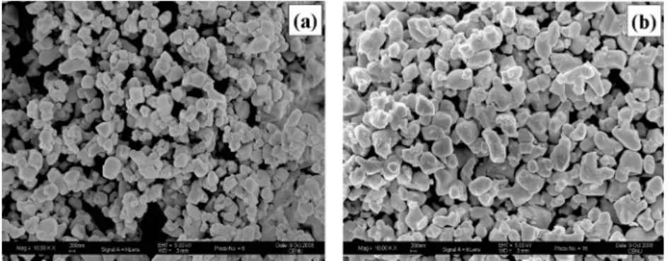 Fig. 3. SEM images of Li 4 Sn 0.15 Ti 4.85 O 12  composite material after heat treatment at (a) 700 o C and (b) 800 o C (× 10 K).