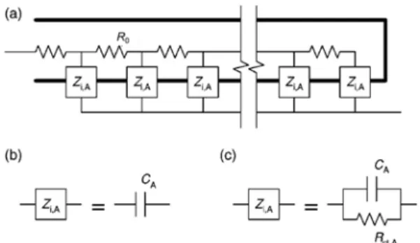 Fig. 1. Equivalent circuits for (a) transmission line model that is composed of pore resistance ( R 0 ) and interfacial impedance (Z i,A ), (b) interfacial impedance of ideally polarized electrode with a double layer capacitor ( C A ), and (c) the interfac