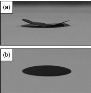 Fig. 8. The images of electrodes from dismantled cells after storage for 1 week at 60 o C.