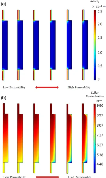 Figure 5. Effects of permeability on (a) velocity, (b) sulfur concen- concen-tration distribution