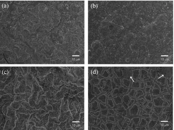 Fig. 6. The FE-SEM surface images of Cu 3 Si (a, c) and a-Si (b, d) film electrodes obtained before and after the first cycle at 120 o C