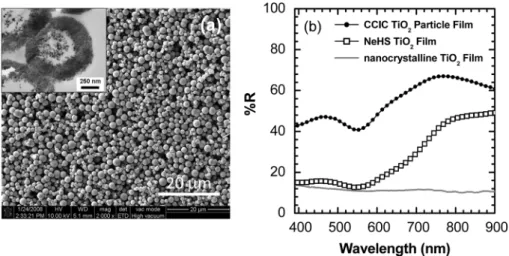 Fig. 5. (a) SEM image of nano-embossed hallow spherical (NeHS) TiO 2 . Inset shows TEM image of individual NeHS particle sliced by microtome